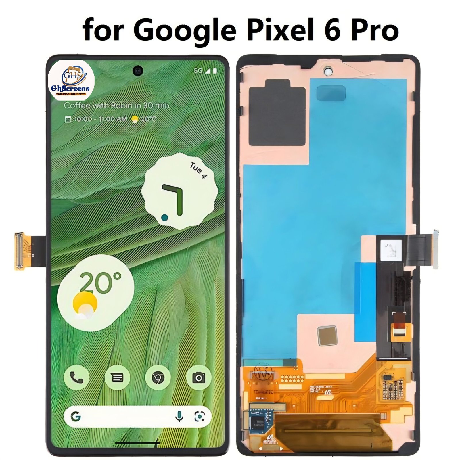 CREATOR: gd-jpeg v1.0 (using IJG JPEG v62), quality = 80?